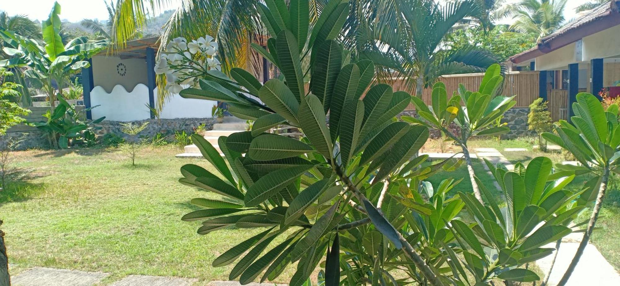 Dewi Garden Guesthouse Kuta  Kültér fotó