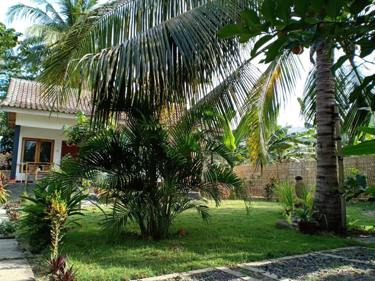 Dewi Garden Guesthouse Kuta  Kültér fotó
